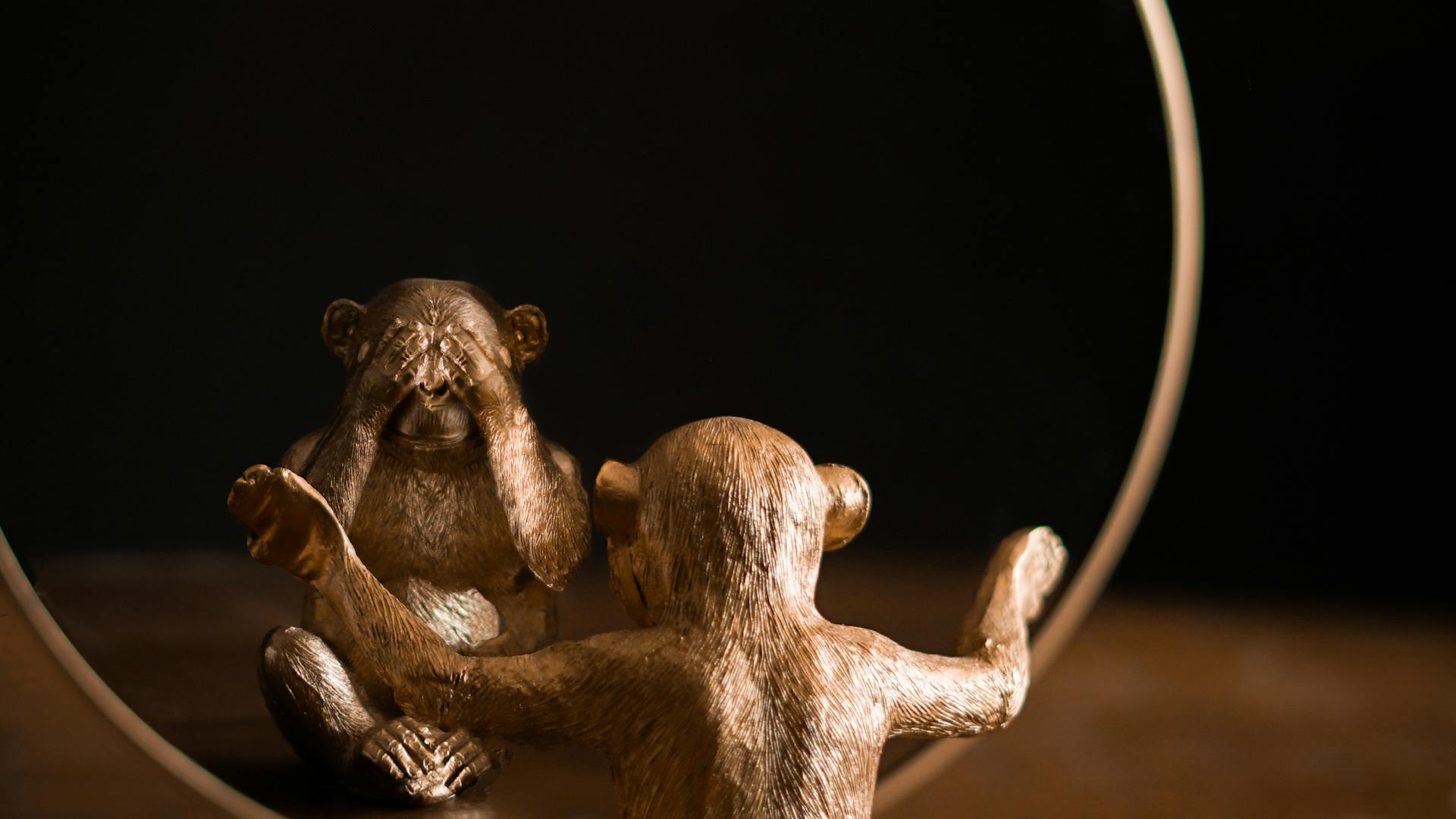 pexels-photo-4616088-1